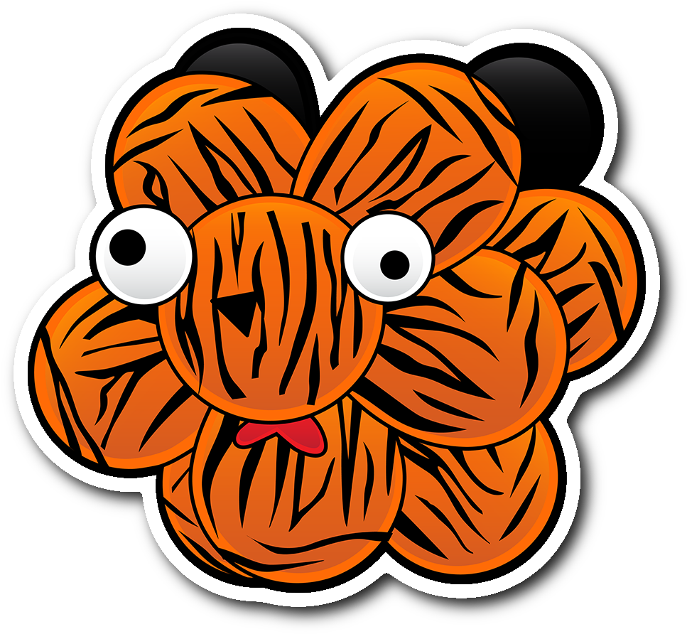 RIT Tiger - Class of 2019