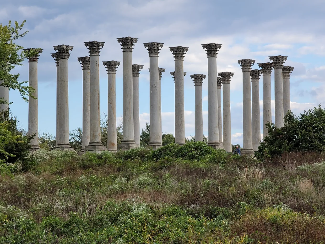 National Arboretum